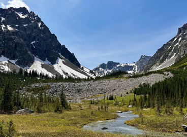 Dickson meadows photo